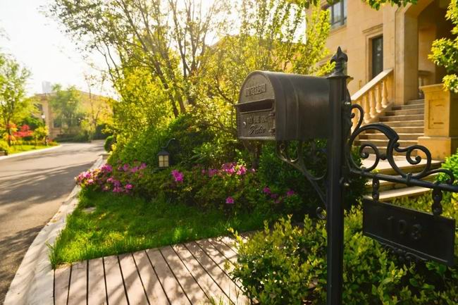 5月的国宝，享受初夏的惬意时光